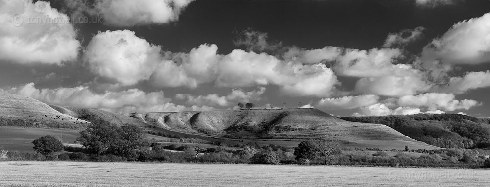 Roundway Hill, Devizes