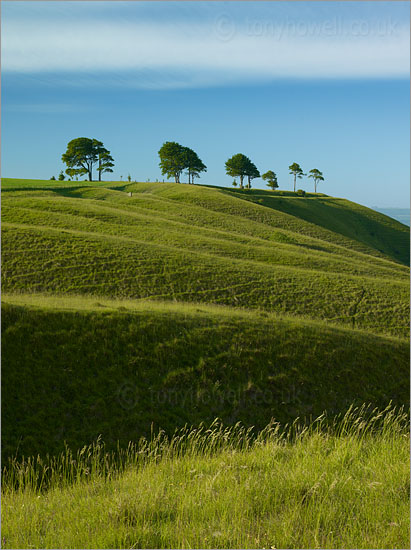 Roundway Hill