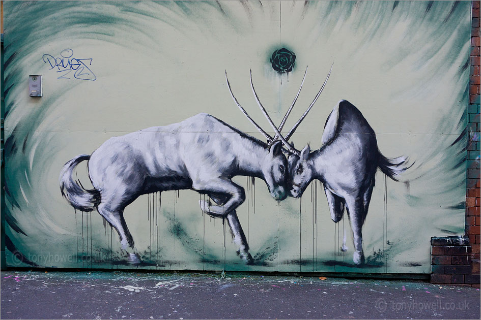 Street Art, Graffiti