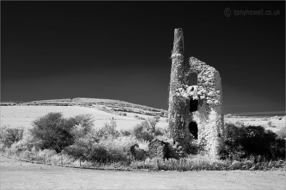 Tin Mine, Trencrom (Infrared Camera, turns foliage white)