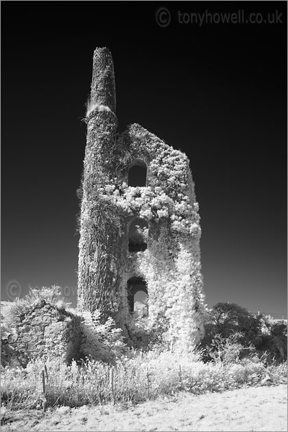 Tin Mine, Trencrom (Infrared Camera, turns foliage white)