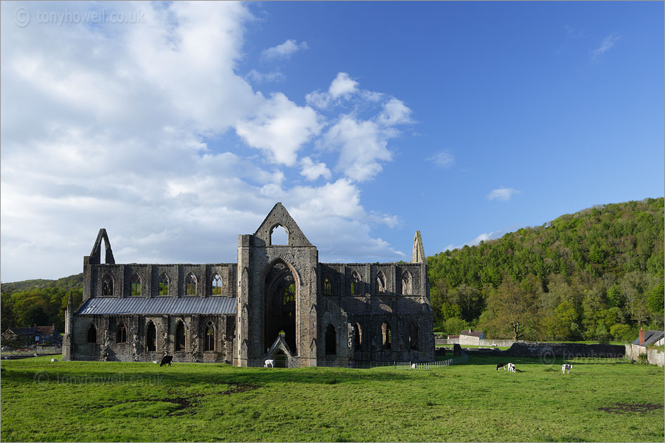 Tintern Abbey