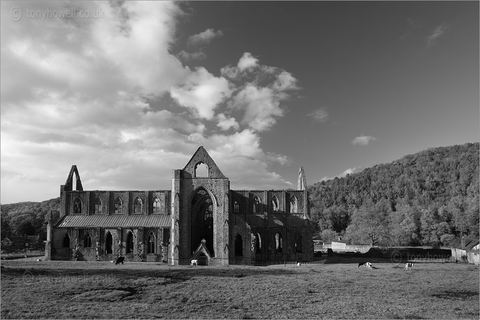Tintern Abbey