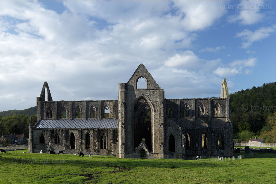 Tintern Abbey