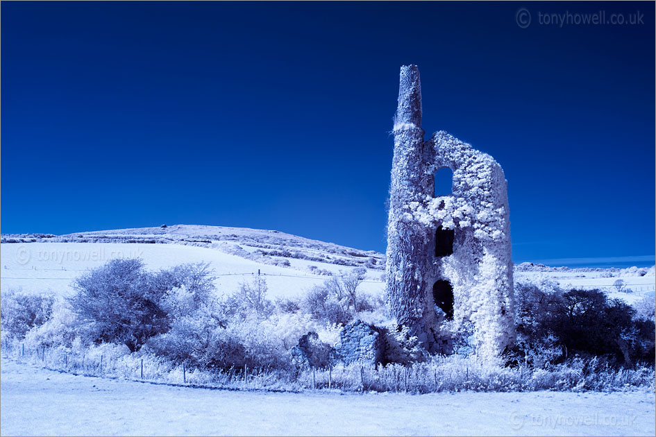 Trencrom Tin Mine, St Ives (Infrared Camera, turns foliage white)