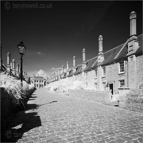 Vicars Close (Infrared Camera, turns foliage white)