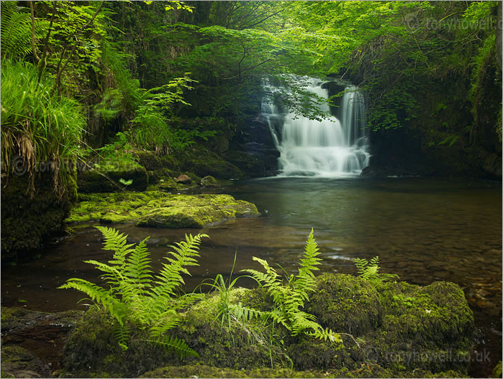 Watersmeet