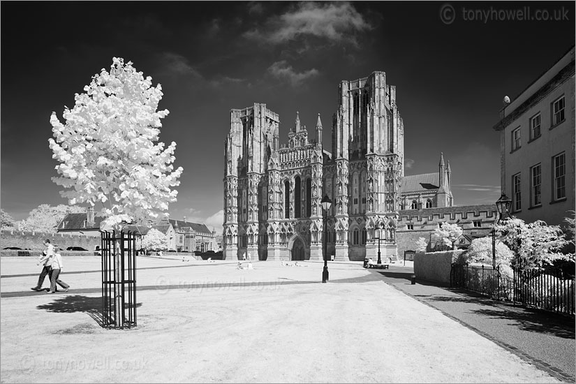 Wells Cathedral (Infrared Camera, turns foliage white)