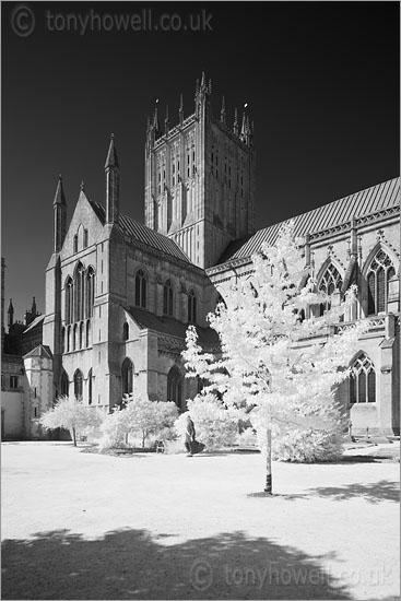 Wells Cathedral (Infrared Camera, turns foliage white)