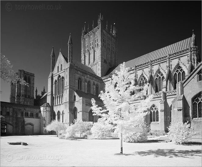 Wells Cathedral (Infrared Camera, turns foliage white)