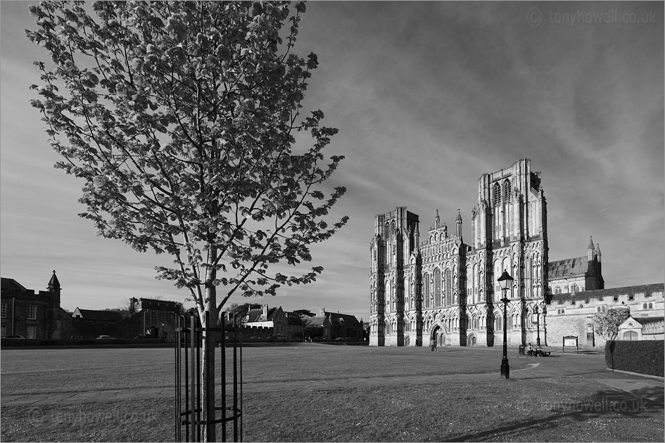 Wells Cathedral, Evening