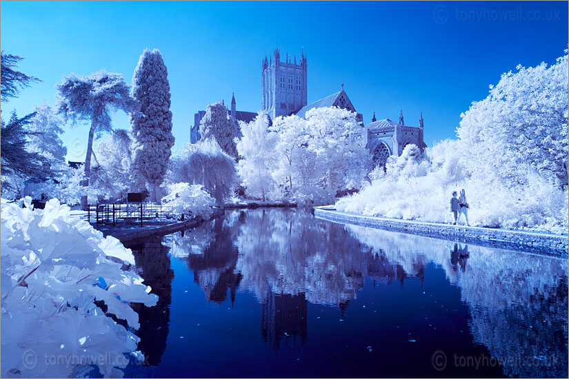 Wells Cathedral (Infrared Camera, turns foliage white)