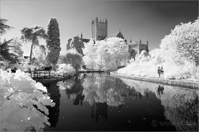 Wells Cathedral (Infrared Camera, turns foliage white)