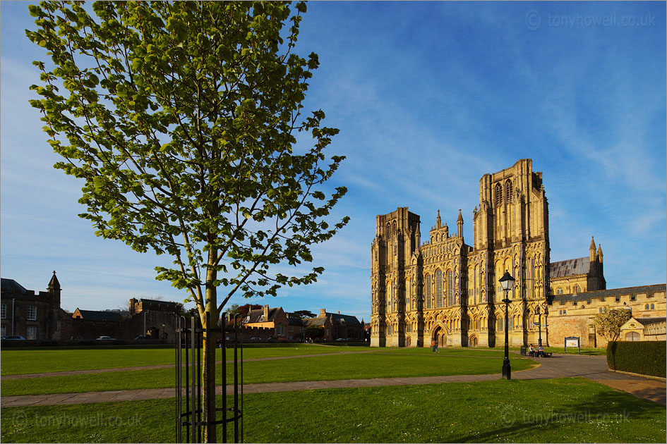 Wells Cathedral, Evening