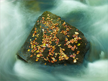 Golitha Falls, Cornwall