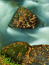 Golitha Falls, Cornwall