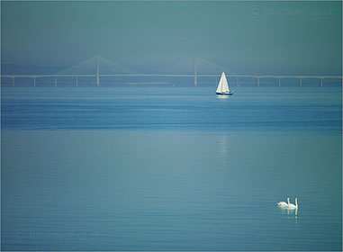 Second Severn Crossing from Portishead