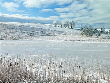 Waldegrave Pool, Priddy