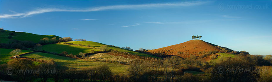 Colmers Hill, Dorset