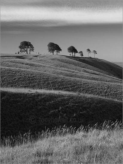 Roundway Hill