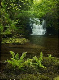 Watersmeet, Exmoor