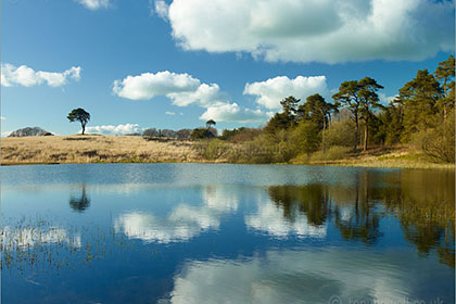 Waldegrave Pool, Priddy