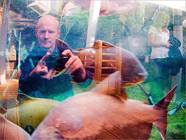 Self Portrait, Aquarium