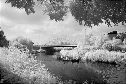 Third Way Bridge