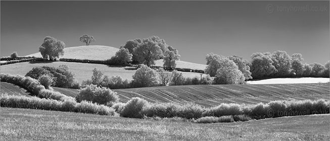 Infrared Trees near Bath