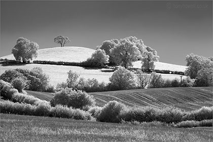 Infrared Trees near Bath