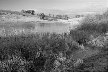 Waldegrave Pool