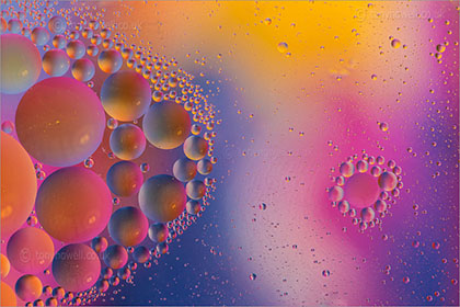 Rapeseed Oil Bubbles in Water
