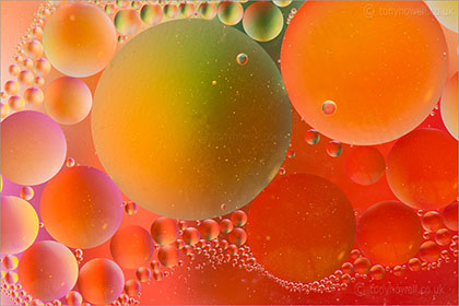 Rapeseed Oil Bubbles in Water