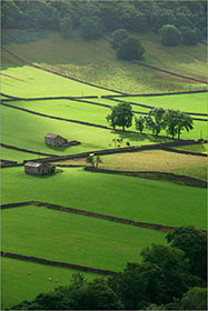 Walls and Barns, Kettlewell