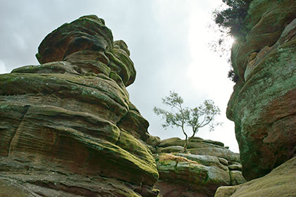 Brimham Rocks