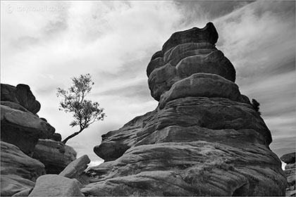 Brimham Rocks