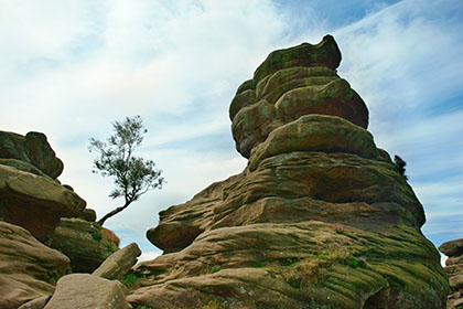 Brimham Rocks