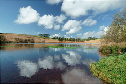 Waldegrave Pool, Priddy