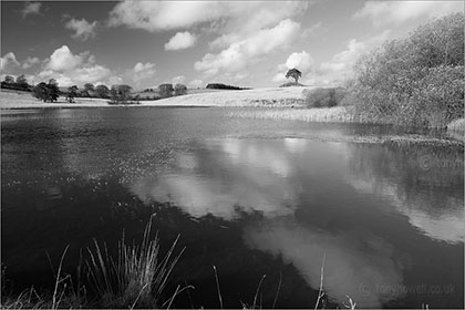 Waldegrave Pool, Priddy