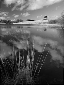 Waldegrave Pool, Priddy