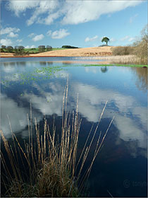 Waldegrave Pool, Priddy