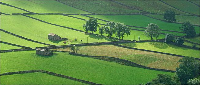 Walls and Barns, Kettlewell