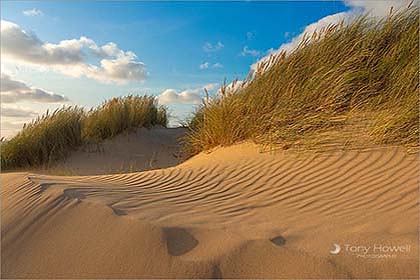 Sand-Dunes-Crantock-Beach-Cornwall