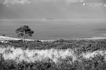 Quantock Hills, Steep Holm