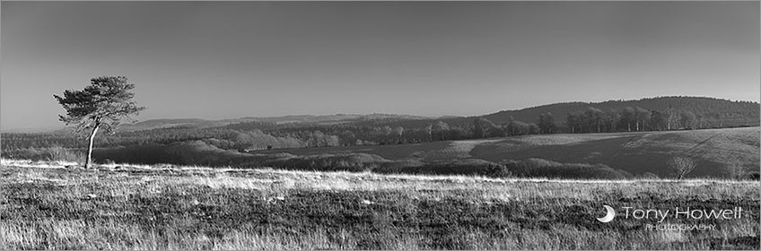 Quantock Hills