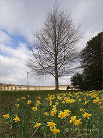 Royal Crescent, Bath