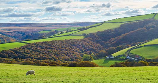 Sheep-Cottage-Exmoor-Autumn-AR483