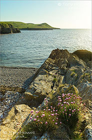 Middle-Hope-Sand-Point-Weston-super-Mare-AR509