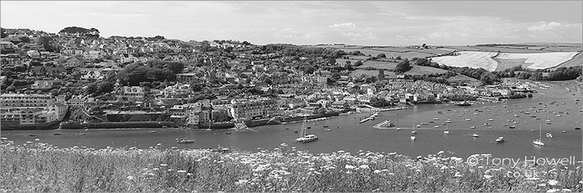 Salcombe, Panoramic