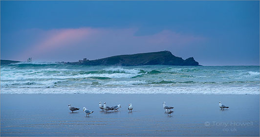 Porth-Beach-Seagulls-Dusk-Cornwall-AR827